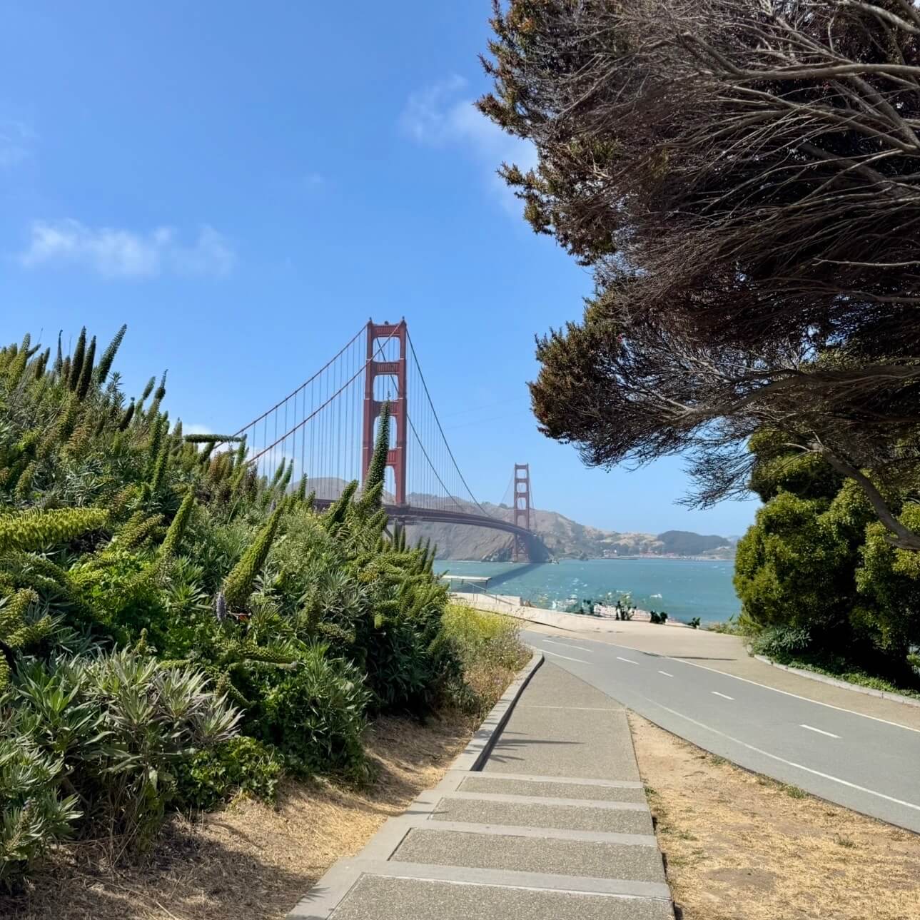 Databricks Data+AI Summit - 4